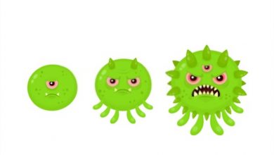 تحور الفيروسات داخل جسم الانسان